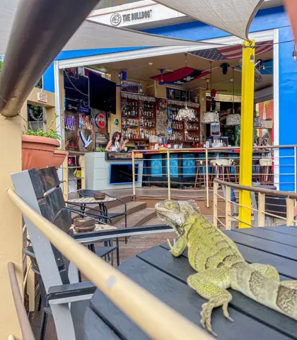 240255568_875962326691315_24012808922413150_n